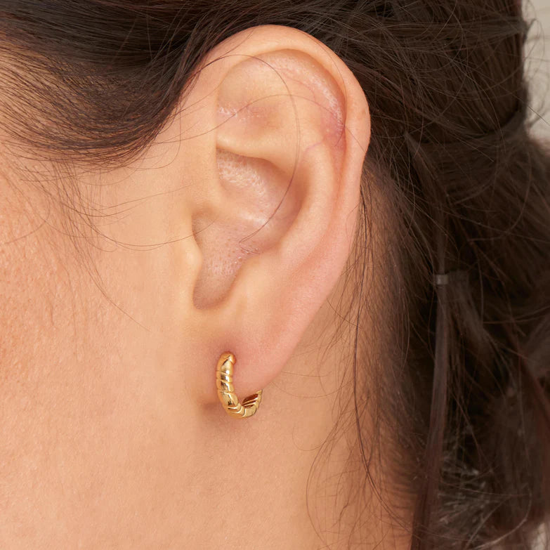 Gold Smooth Twist Huggie Hoop Earrings by Ania Haie